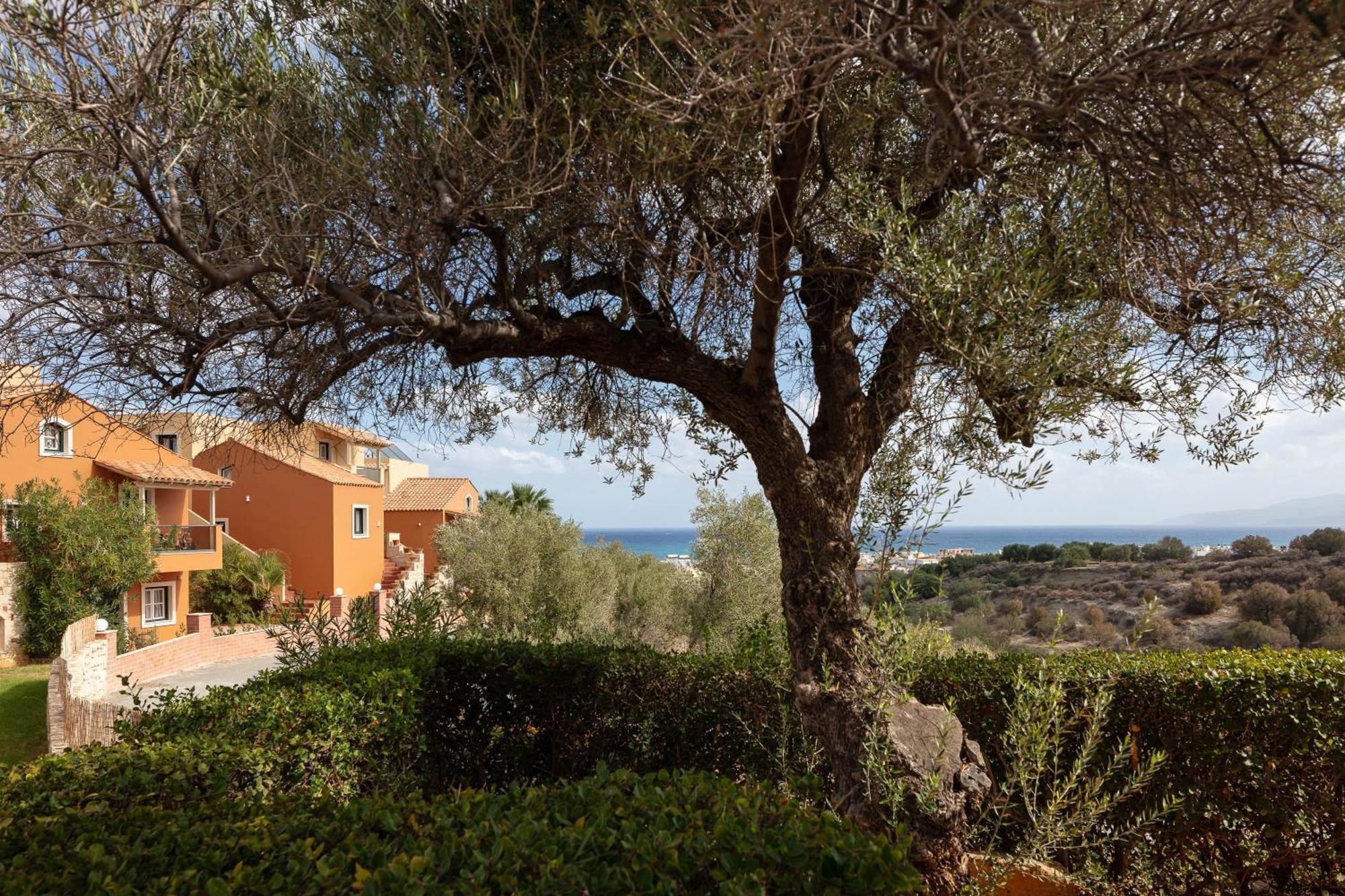 Dia Apartments Hersonissos  Dış mekan fotoğraf