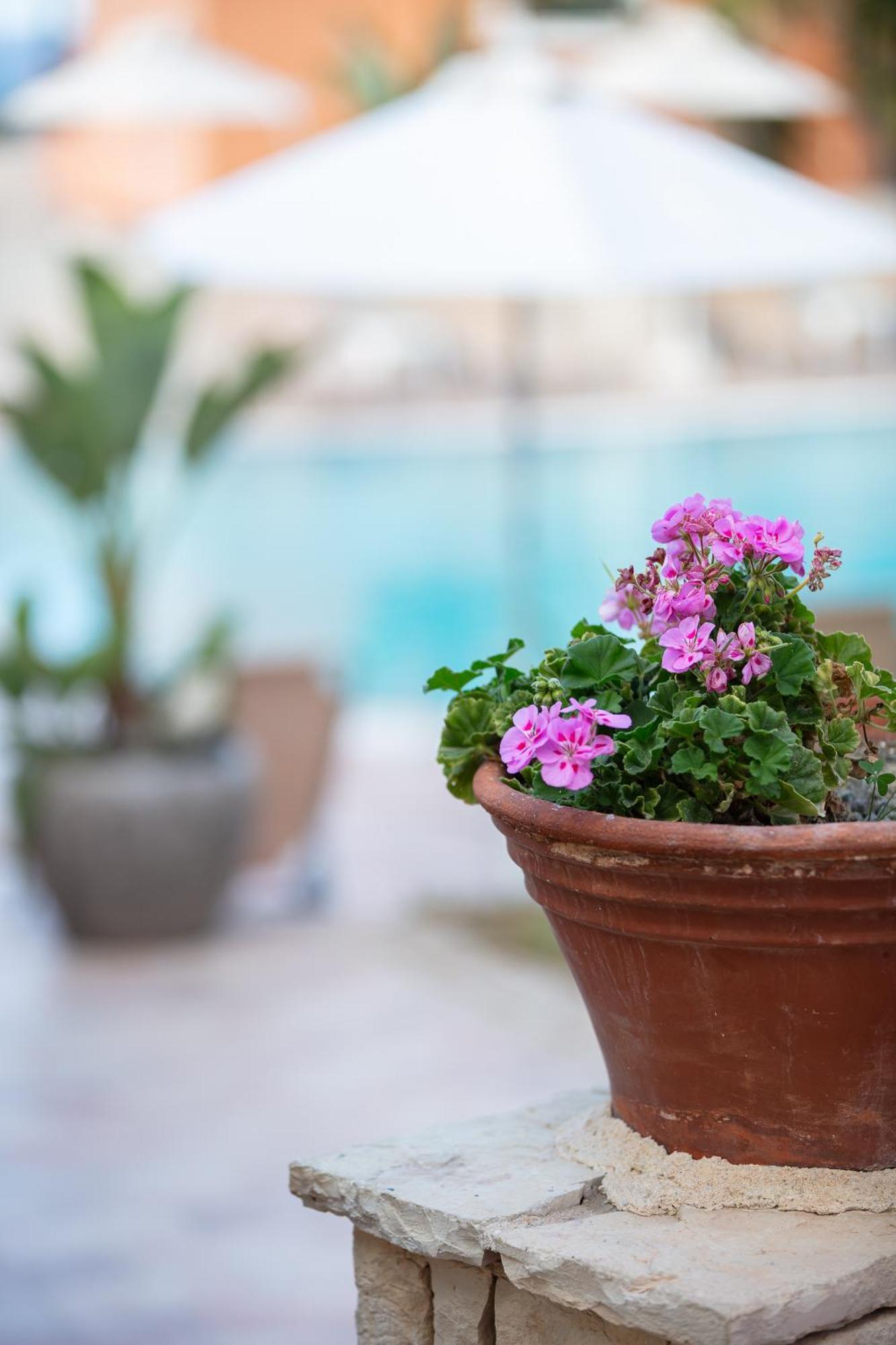 Dia Apartments Hersonissos  Dış mekan fotoğraf